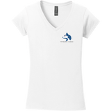 Pittsburgh Huskies Softstyle Ladies Fit V-Neck T-Shirt