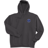 Carolina Thunder Ultimate Cotton - Pullover Hooded Sweatshirt