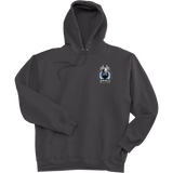 East Coast Vikings (Mens) Ultimate Cotton - Pullover Hooded Sweatshirt