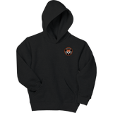 Princeton Jr. Tigers Youth EcoSmart Pullover Hooded Sweatshirt