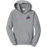 CT Wolfpack South Youth Fan Favorite Fleece Pullover Hooded Sweatshirt