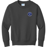 Carolina Thunder Youth Core Fleece Crewneck Sweatshirt